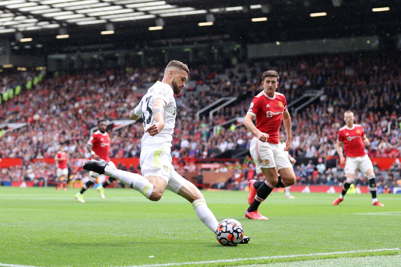 给支持者们 给支持者们