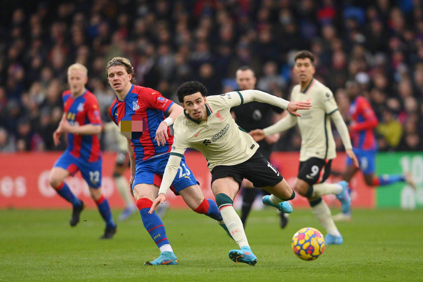 僅是在為現 僅是在為現